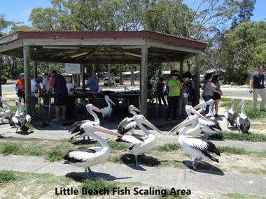 32 'Bay Parklands' 2 Gowrie Avenue - fantastic unit with air conditioning pool tennis court & spa