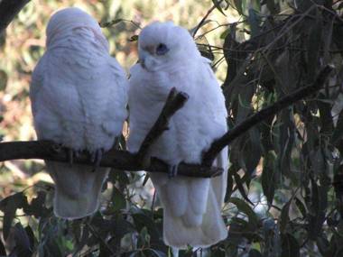 Green Point Boat House
