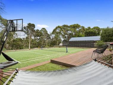 CORYMBIA - MOUNT MARTHA