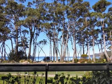 Sea Eagle at Roaring Beach