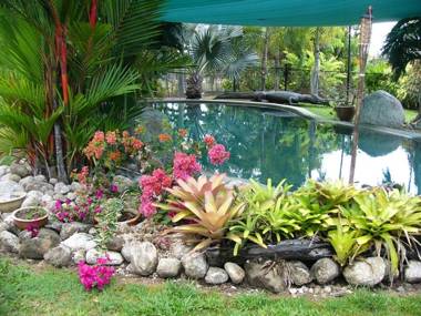 Daintree Wild Bed & Breakfast