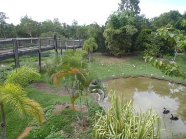 Daintree Wild Bed & Breakfast