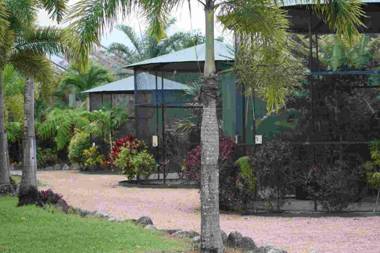 Daintree Wild Bed & Breakfast