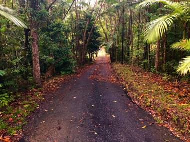 Daintree Manor B&B