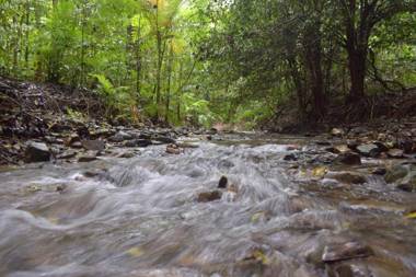 Daintree Peaks ECO Stays