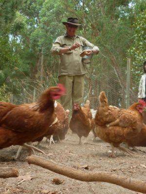 Margaret River Hideaway & Farmstay