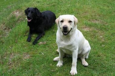 Margaret River Hideaway & Farmstay