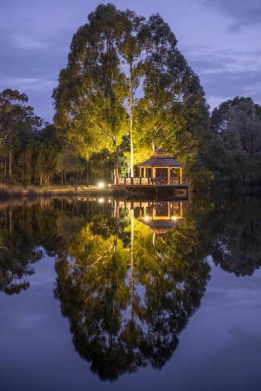 Forest Rise Chalets and Lodge