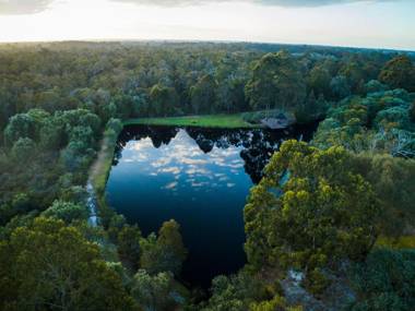 Forest Rise Chalets and Lodge