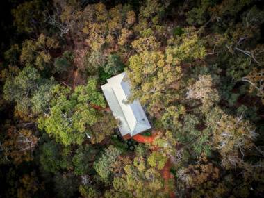 Forest Rise Chalets and Lodge