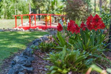 Alarks Nest Bed and Breakfast