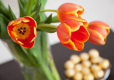 Wine Country Motor Inn