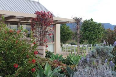 Grapevines Boutique Accommodation