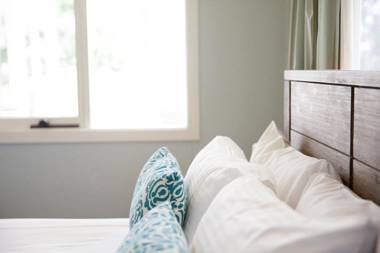 Audrey Wilkinson Vineyard