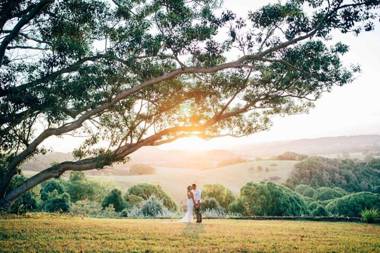 Cedia at Byron Bay Hinterland