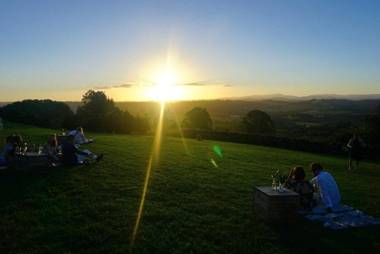 Cedia at Byron Bay Hinterland