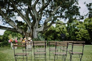 Cedia at Byron Bay Hinterland