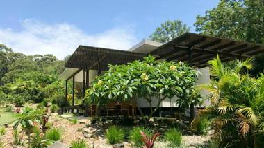 Lily Pad at Byron Bay