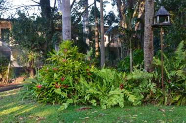 Forest Lodge Apartments