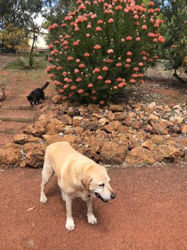 Thistle Do Bed and Breakfast