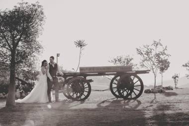 Milford Country Cottages