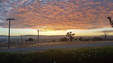 505 CONROD STRAIGHT MOUNT PANORAMA