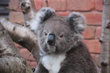 Angela's Beach Stays