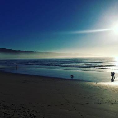 The Dolphin Apartments