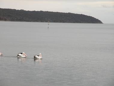 The Anchorage Cottage Kangaroo Island