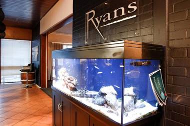 Ace Accommodation Albany