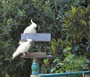 Aldgate Valley Bed and Breakfast