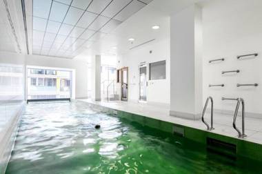 Swainson on Balfours