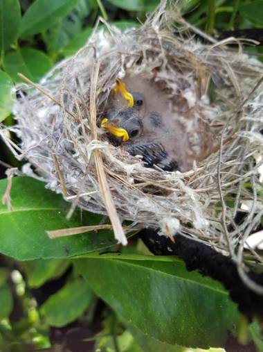 The Heights Bed & Breakfast