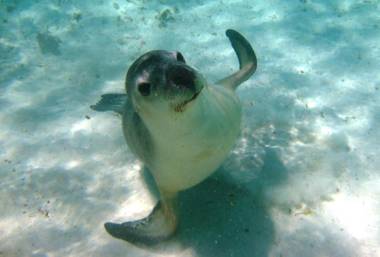 Green Head Caravan Park