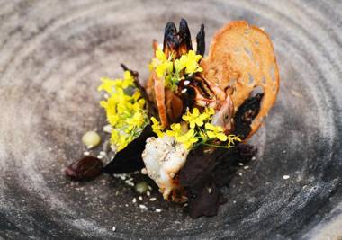 Belle Escapes - Latania Villa Palm Cove