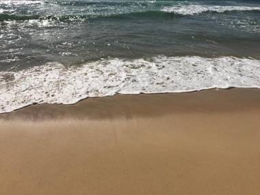 Meridian Alex Beach Apartments