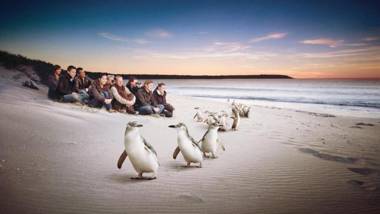 C-Scape water front apartment