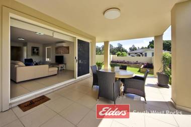 Geckos at South West Rocks