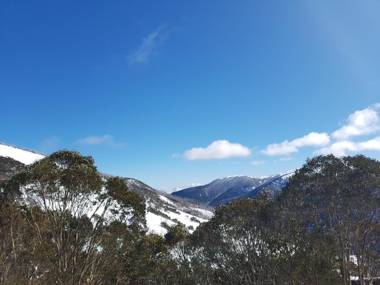 Cedarwood Apartments