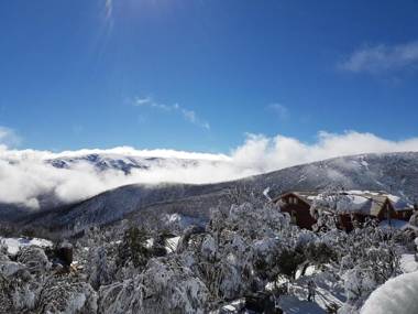 Cedarwood Apartments