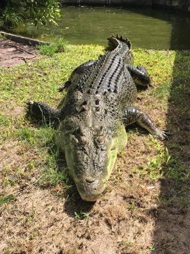 Corroboree Park Tavern