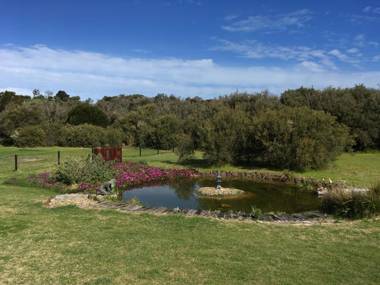 Harmony Bed & Breakfast