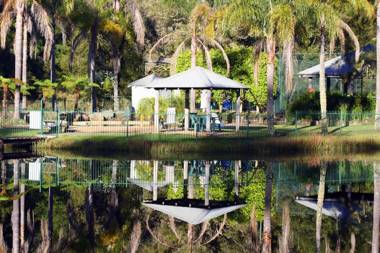 Blackwattle at Barrington Tops