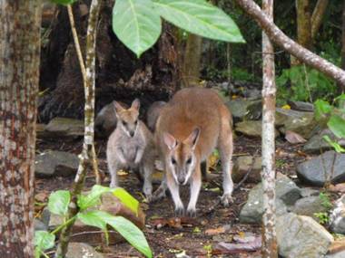 Yachtsmans Paradise Whitsundays