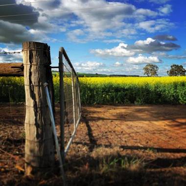 The York Palace Accommodation