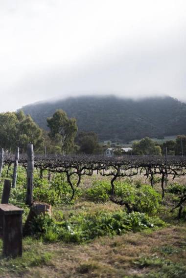 Hope Farm Guesthouse