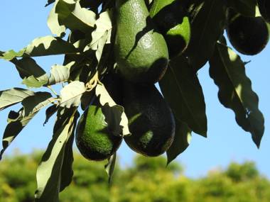 Pencil Creek Cottages