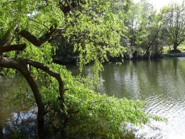 Lakeview On Sycamore