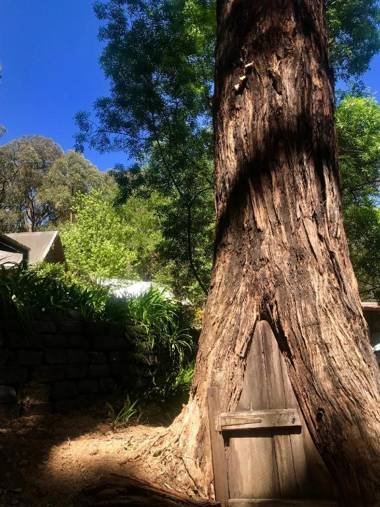 Emerald Star Cottages