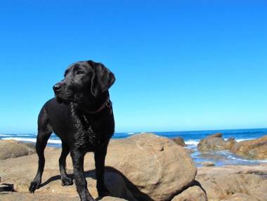 Beachside Prevelly Villas